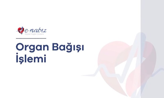 Organ Bağışı Beyanı e-Nabız ve e-Devlet Üzerinden Yapılabilecek